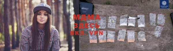 прущие грибы Верхний Тагил