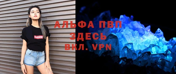 прущие грибы Верхний Тагил