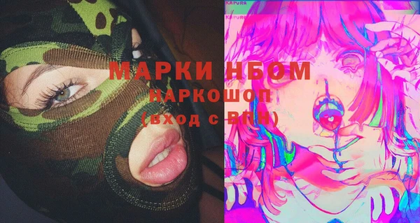 прущие грибы Верхний Тагил