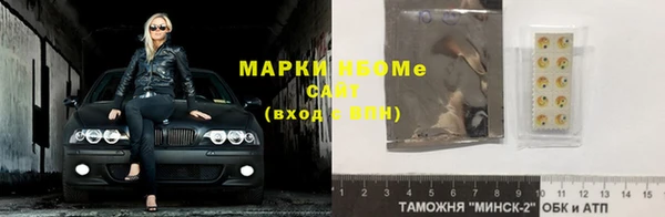 прущие грибы Верхний Тагил