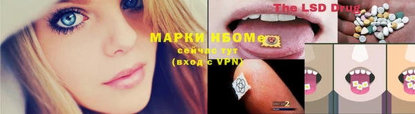 прущие грибы Верхний Тагил