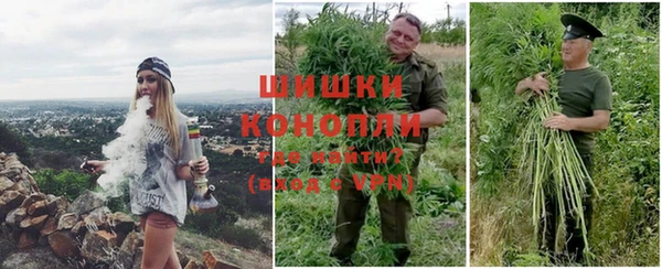 прущие грибы Верхний Тагил