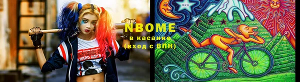 прущие грибы Верхний Тагил
