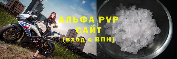 прущие грибы Верхний Тагил